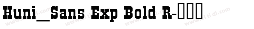 Huni_Sans Exp Bold R字体转换